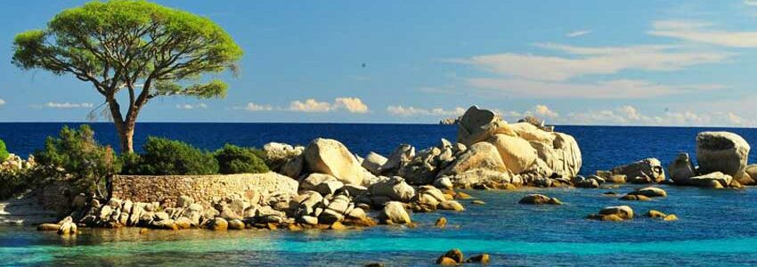 guide-corse