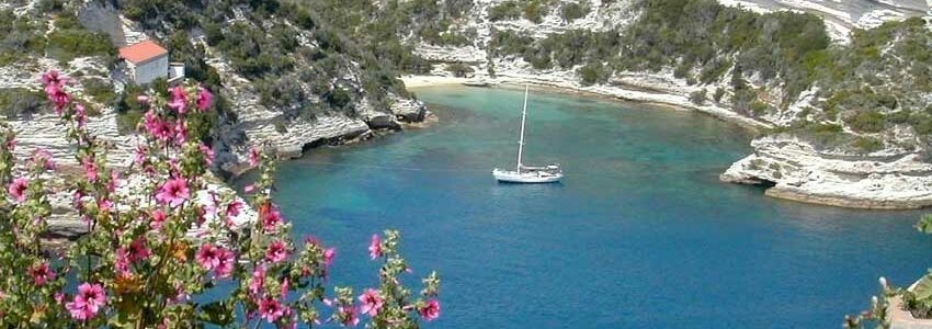 guide-corse